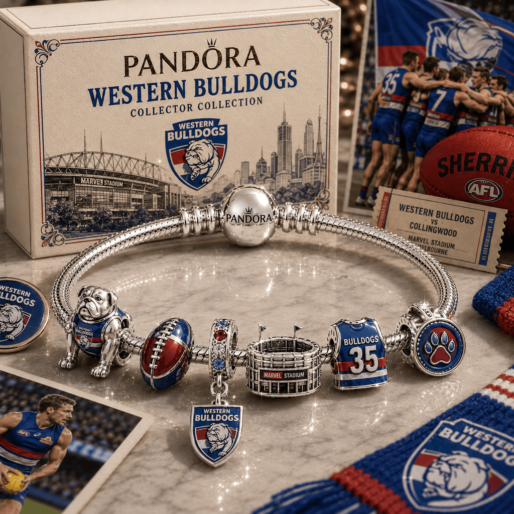 WTB Silver Charm Bracelet Set PNPA
