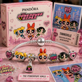 TPPG Silver Charm Bracelet Set PNPA