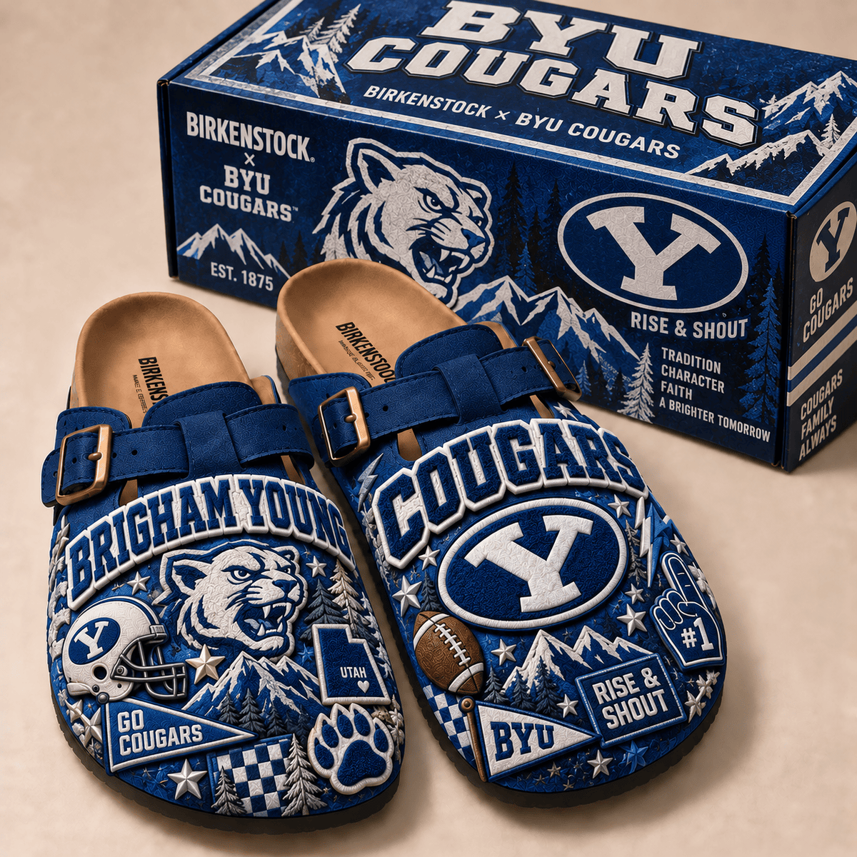 PREMIUM BYU MINK SUEDE CLOGS TTNL